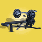 Click to enlarge: Leverage Bench Press
