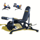Click to enlarge: Powertec Leg Extension / Leg Curl
