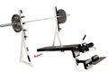 Olympic Decline Bench by Riddell 