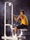 Click to enlarge: Arm Curl