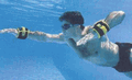 Aqua Weights<br>4 Lb Swim Wrist Weights