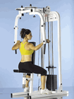 Click to enlarge: Pec Fly/Rear Delt Combo by DynamaxPro