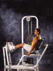 Click to enlarge: Leg Press