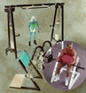 Preacher Curl, Seated
