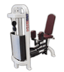 Abductor - Inertia Selectorized Outer Thigh