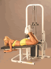 Click to enlarge: Leg Curl
