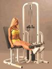 Click to enlarge: Leg Extension