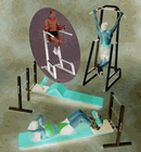 Click to enlarge: Dip/Leg Raise