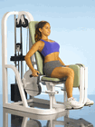 Click to enlarge: Abductor, Inner Thigh