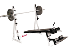 Click to enlarge: Olympic Decline Bench by Riddell 
